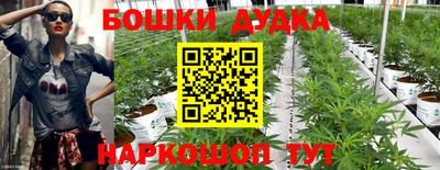 гашик Краснознаменск
