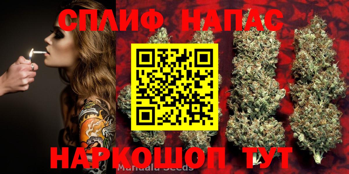 Конопля планчик  Марихуана индика  Тулун  Канабис марихуана  Вход с VPN 